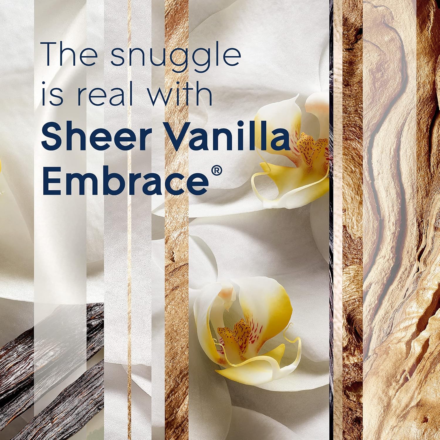 Glade Candle Sheer Vanilla Embrace, Infused with Essential Oils, Air Freshener, 3-Wick Candle, 6.8 Oz