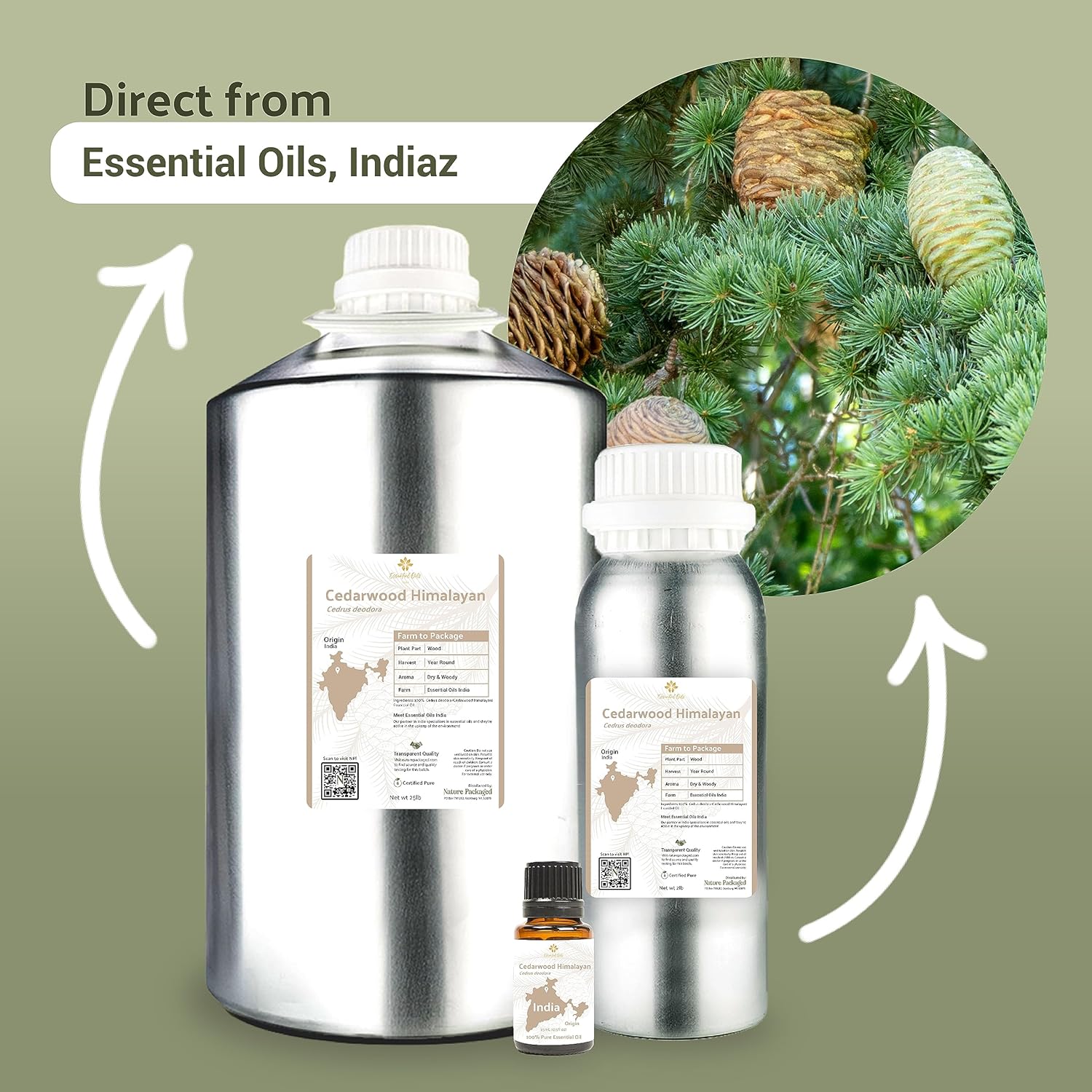 Cedarwood Essential Oil (Himalayan) - Direct from Hindustan Mint & Agro in India - Essential Oil for Diffusers and Aromatherapy | Pure Therapeutic Grade (15ml)