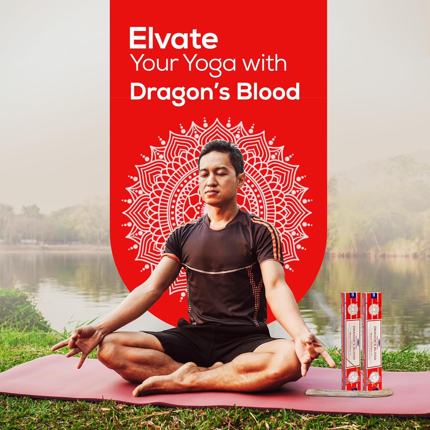 Satya Dragon Blood Incense Sticks 180 gm (15GM X 12 Pack) from Satya Sai Baba Nag Champa and Raajsee Incense Sticks Holder Bundle, Free from Chemicals,Natural Insenses