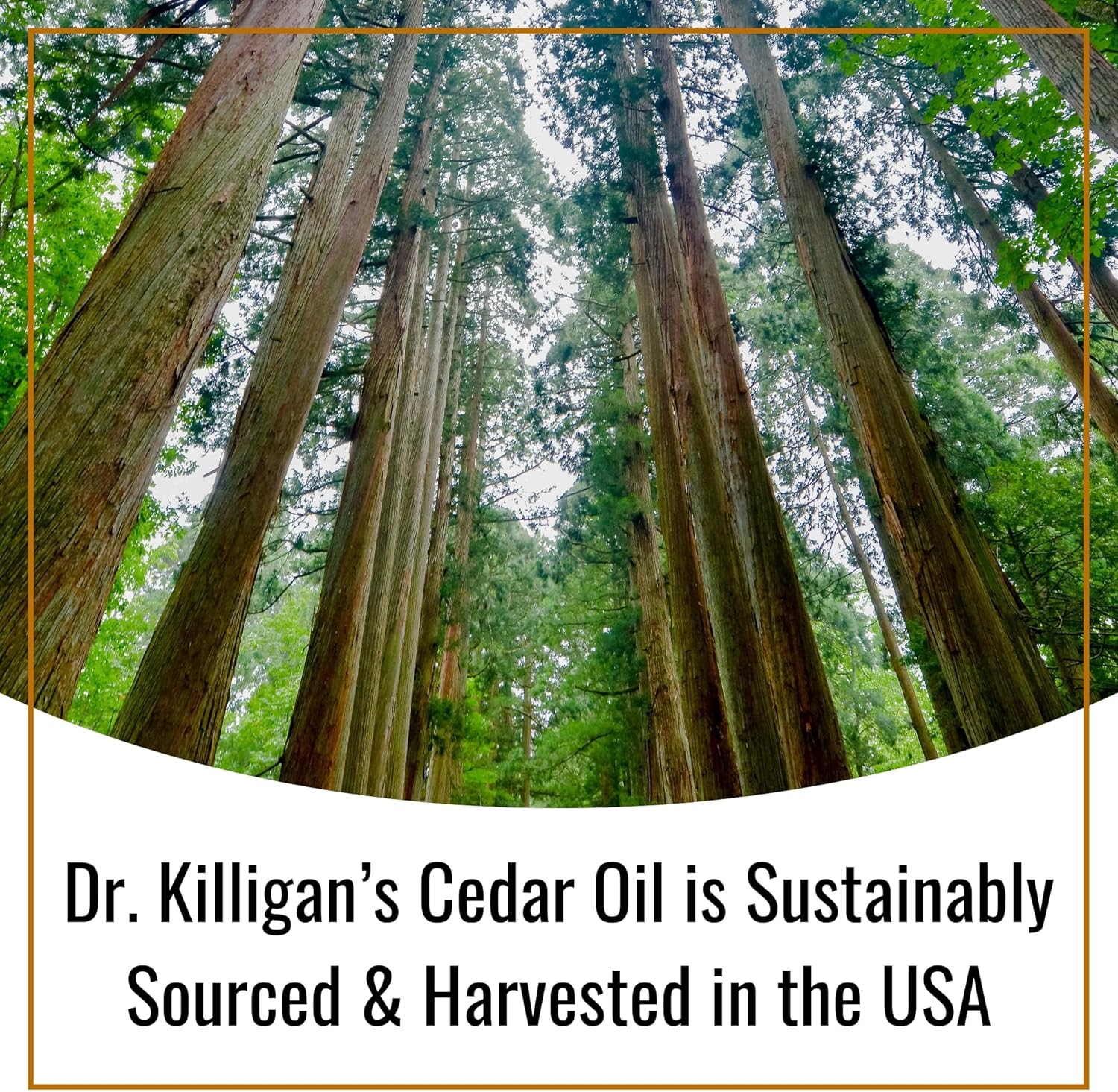 Dr. Killigan’s CedarWard Spray - 4 fl. oz. - Natural Cedar Oil Formula Restores Scent to Cedarwood Accessories, Closets, Drawers, Trunks, Chests, Pest and Moth Repellent for Clothes