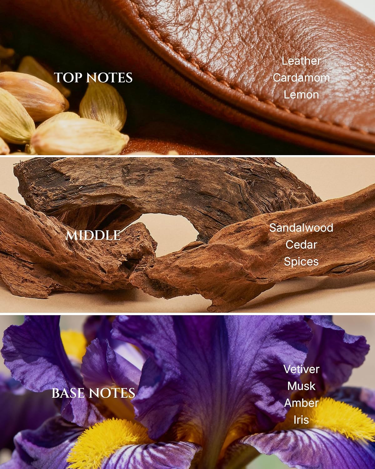 AROMADD Way Diffuser Oil Inspired by Luxury Hotel Scent 6.76 Fl Oz (200ml), Premium Fragrance Oil for Aroma & Waterless Diffusers, Long-Lasting Home Fragrance