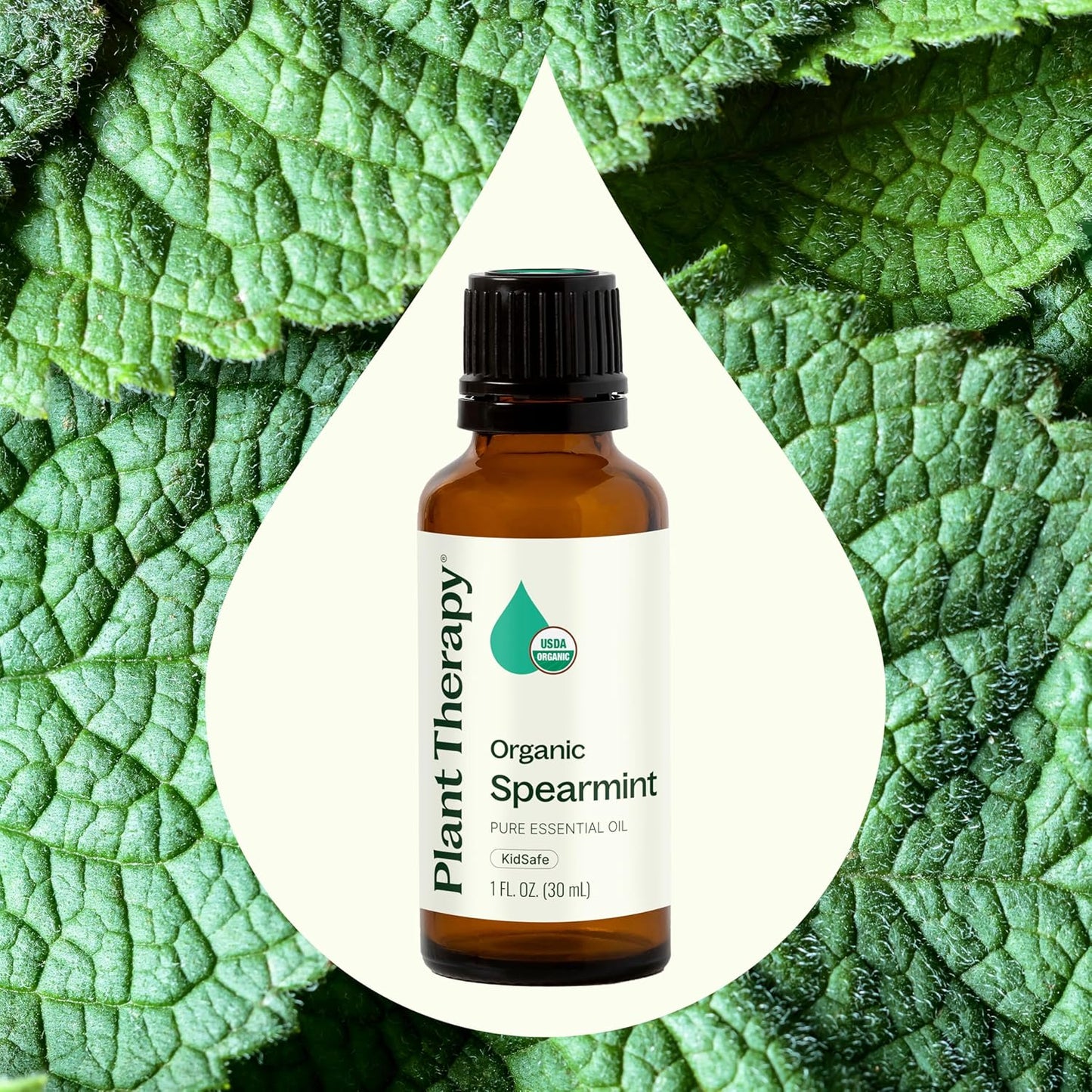 Plant Therapy USDA Certified Organic Spearmint Essential Oil 30 mL (1 oz) 100% Pure, Undiluted, Digestive Health, Fresh Scent