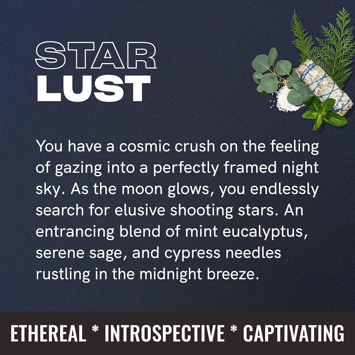 Friday Collective Star Lust Candle Fresh & Clean Scented Made with Essential Oils 3 Wicks 13.5 oz